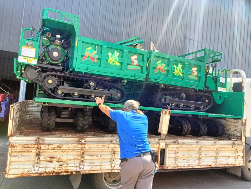 Cargas útiles de 1 tonelada Mini crawler para transporte minero 9