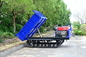 Maquinaria agrícola 3.5 toneladas Camión de recorrido de recubrimiento de carga ligera Motor diésel de descarga hidráulica