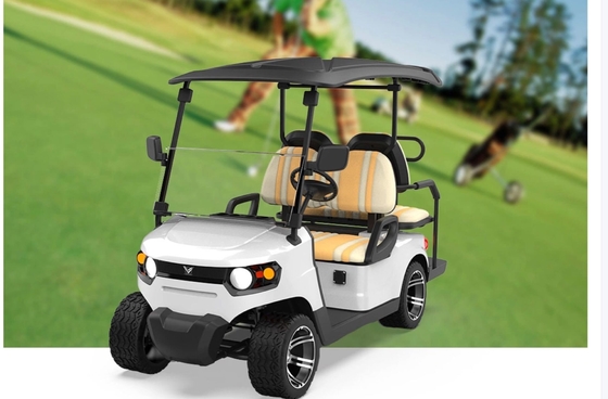 Acido de plomo fuera de carretera personalizado Batería de caza Buggy Mejor carrito de golf eléctrico